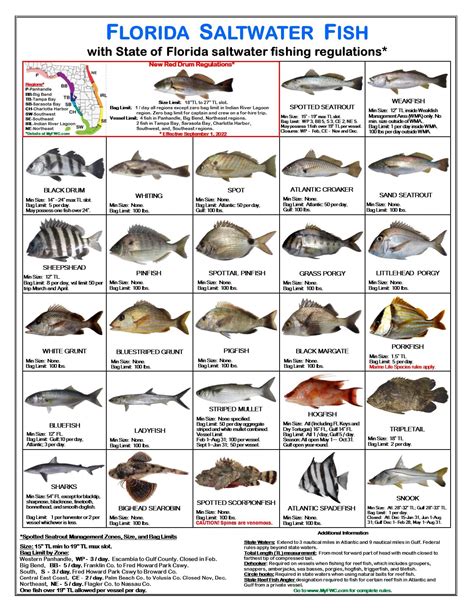 Geological Survey. . Florida brackish water fish identification